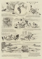 Die Abenteuer von Nicholas